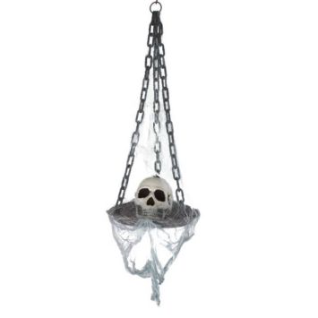 Crâne sur Plateau avec Lumière