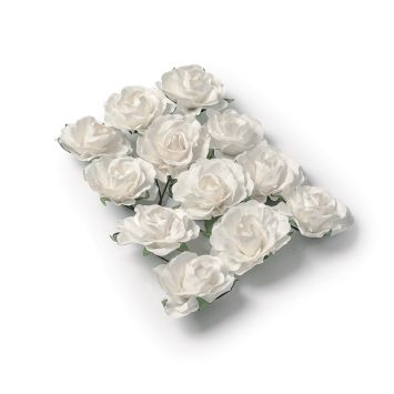 12 Roses Blanches sur Tige