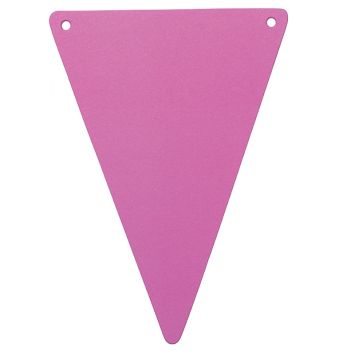 5 Fanions en Carton Unis - Fuchsia