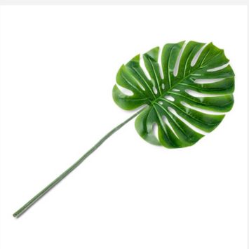 Feuille de Philodendron - 72 cm