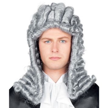 Perruque Homme de Juge Grise