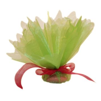 Tulle Cristal Découpé Anis