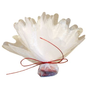 Tulle Cristal Découpé Ivoire