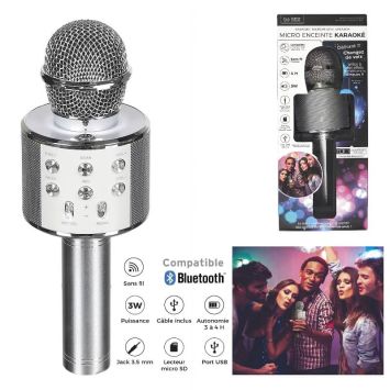Micro enceinte karaoké
