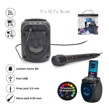 Mini Enceinte Karaoké sans fil avec micro