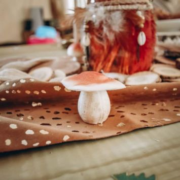 Automne - Assortiment 7 Champignons en Mousse