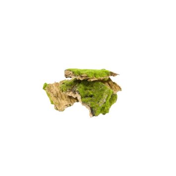 ecorce et mousse synthetique | jourdefete.com