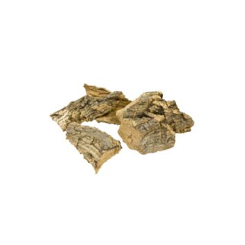 ecorces arbre | jourdefete.com