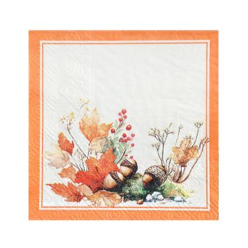 20 serviettes cocktail d'automne en papier - 25 x 25 cm - Collection Mon Écureuil
