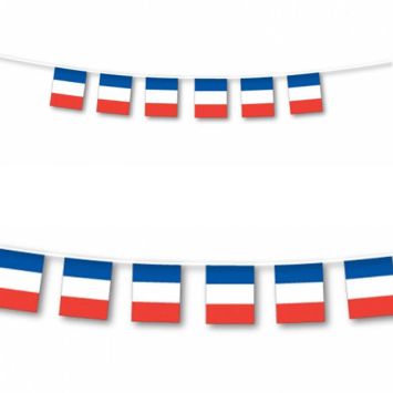 Grande bannière de fanions bleu blanc rouge