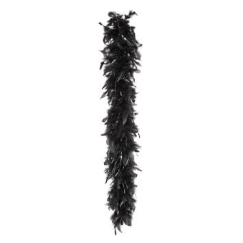 Boa Plumes Noir et Argent