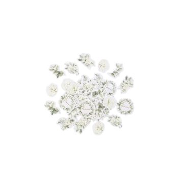 100 confettis feuillage et or collection botanique