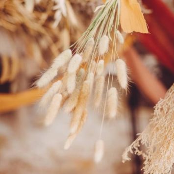 Bouquet de Plumeaux Lagurus Naturels