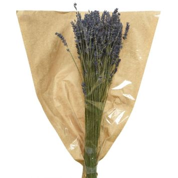 Bouquet de lavande sur tige - 50 cm