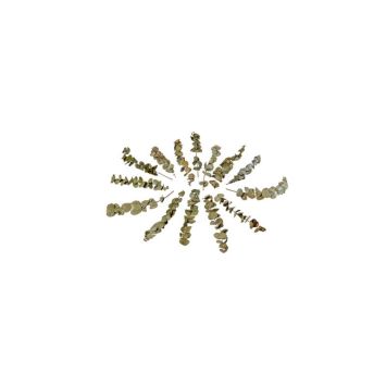 branches-eucalyptus-seche-decoration-table-salle | jourdefete.com