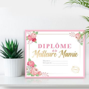 Cadre Diplôme de la Meilleure Mamie