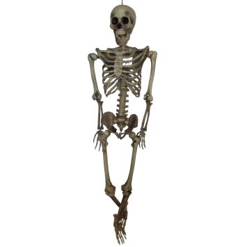 Ce squelette ﻿de taille d'un enfant de 12 ans pourra semer le trouble dans votre soirée d'Halloween | jourdefete.com