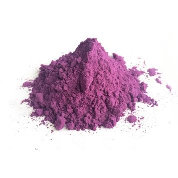 Canon à Poudre Holi - Mauve | jourdefete.com