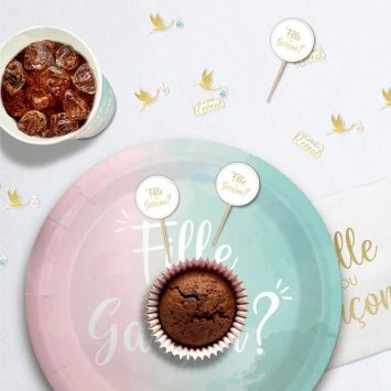 Pack de 12 pics de décoration - Fille ou Garçon ? - Collection Gender Reveal