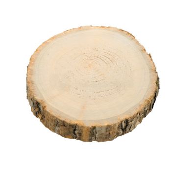 Rondin de bois 17cm x 2cm | jourdefete.com