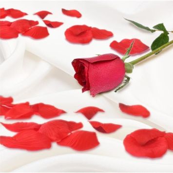 Pétales de rose - 15 g - Saint-Valentin - Collection Chéri Chérie