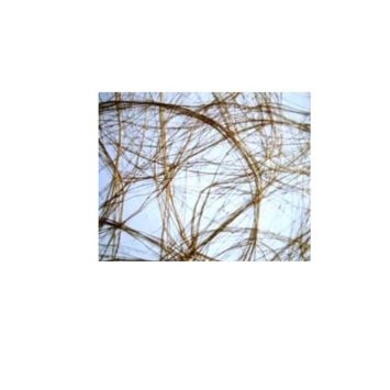 Chemin de Table Intissé 30 cm x 5 M – Or