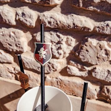 12 Pailles Médaillon en carton - Collection Chevalier Bordeaux