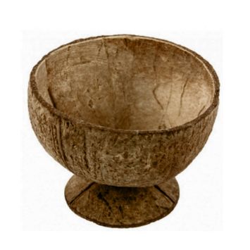  Coupe noix de coco sur socle |jourdefete.com