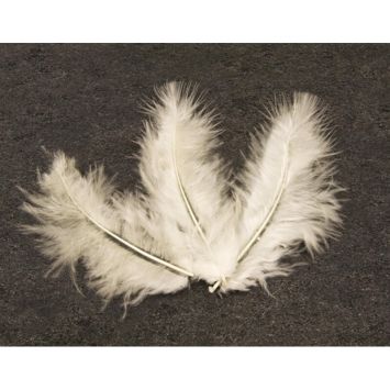 20 Plumes Décoratives - Ivoire
