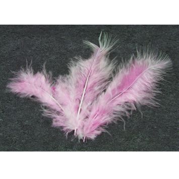 20 Plumes Décoratives - Rose