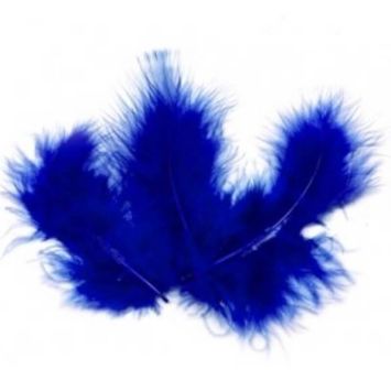 Sachet de 20 Plumes Décoratives - Bleu Roi