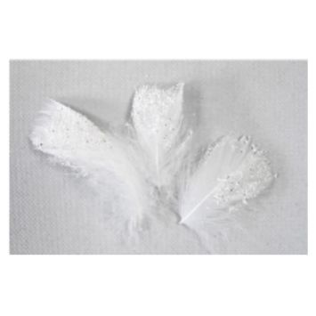 Sachet de 20 Plumes Décoratives Pailletées - Blanc
