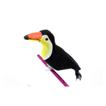 Toucan sur Pince