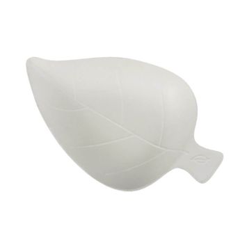 lot de 12 mises en bouche feuille en canne à sucre de 8 cm | jourdefete.com