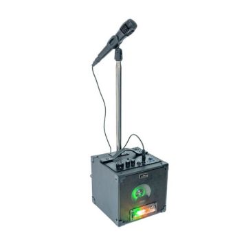 ensemble karaoké avec 2 micros | jourdefete.com