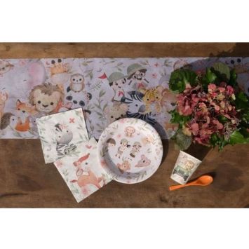 10 Assiettes en carton - Explorateur - 22,5 cm