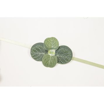 6 feuilles d'eucalyptus avec ruban - 2 x 25 x 6 cm