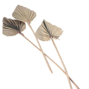 feuilles de palmiers naturelles decoupees | jourdefete.com