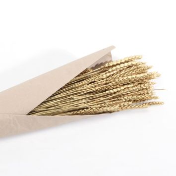 bouquet de blé de couleur or