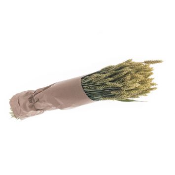 Bouquet de blé naturel vert | jourdefete.com