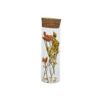 Tube en verre de Fleurs séchées avec bouchon en liège - Couleur aléatoire