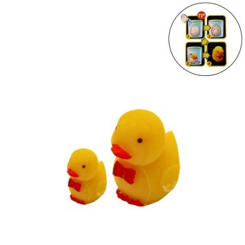 Un œuf de poussin qui va se casser progressivement | jourdefete.com