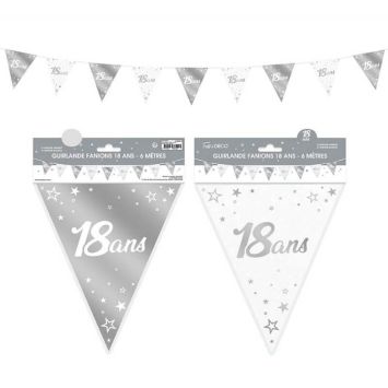 Guirlande de Fanions Anniversaire Métallique - Argent - Age au Choix