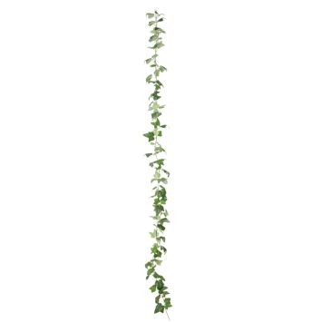 Guirlande de lierre fine verte - 220 cm