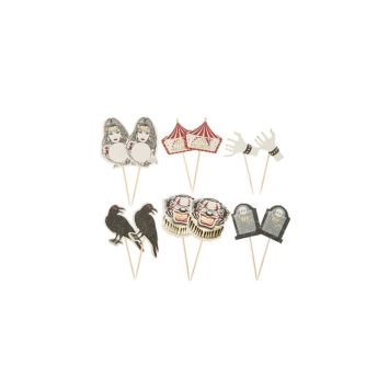 12 pics collection cabinet de curiosité