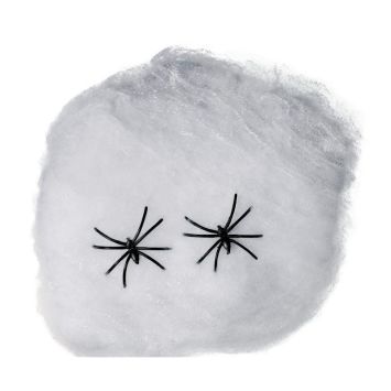 Toile d'araignée blanche de 20cm avec deux fausses araignées noires pour décoration halloween | jourdefete.com