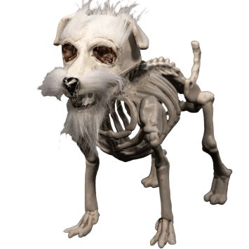 Squelette chien Halloween avec barbichette décoration originale | jourdefete.com
