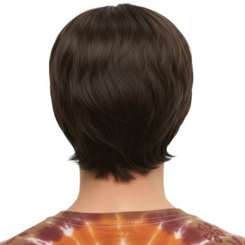 Perruque Rétro pour homme