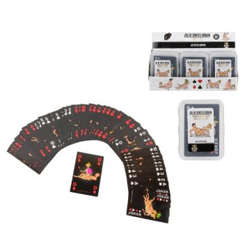 Jeu de cartes coquin