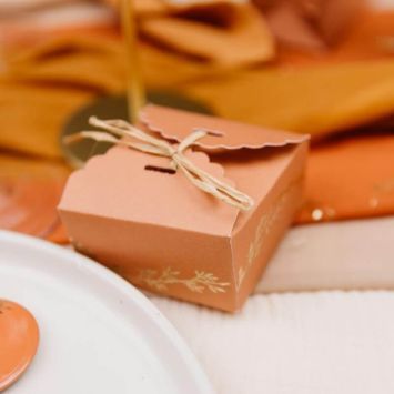 10 Contenants avec Raphia - Collection Jolis Brins - Terracotta et Or 